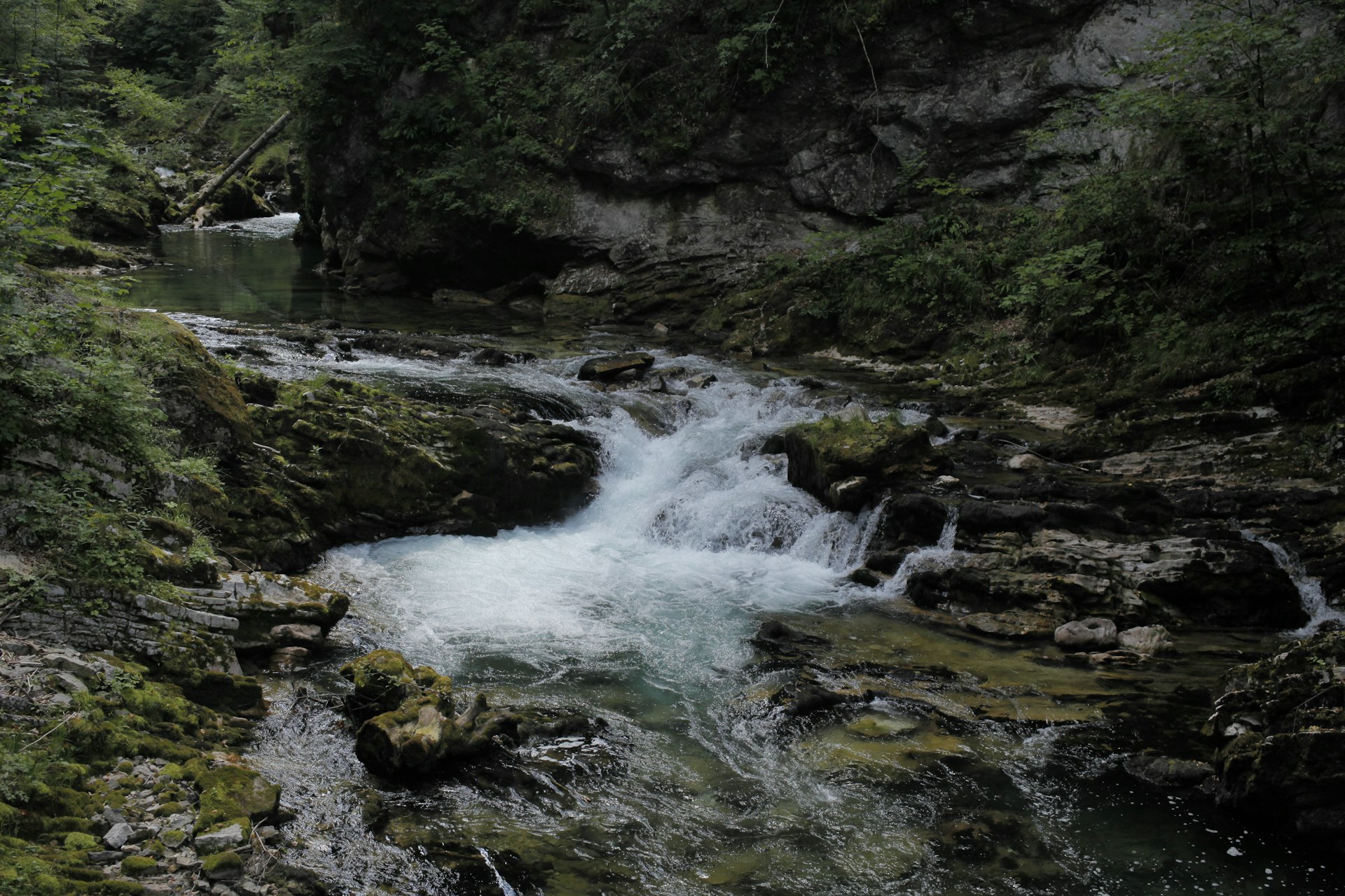 a river flowing through rocks
